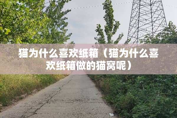猫为什么喜欢纸箱（猫为什么喜欢纸箱做的猫窝呢）
