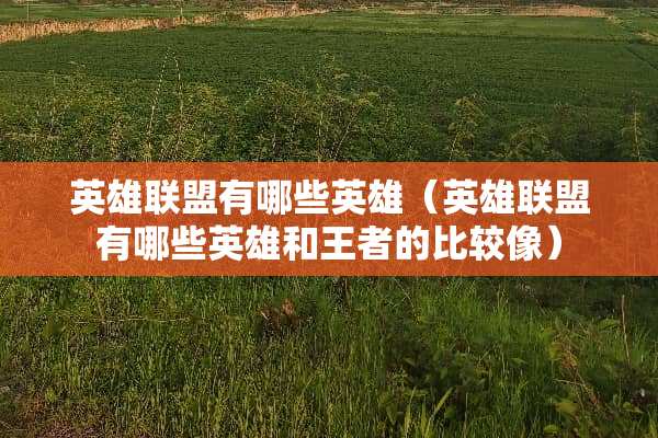 英雄联盟有哪些英雄（英雄联盟有哪些英雄和王者的比较像）