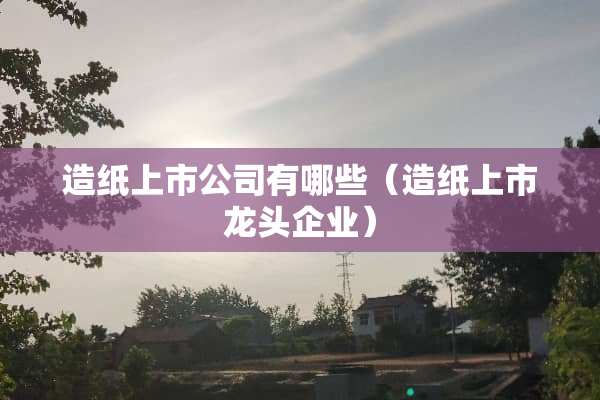 造纸上市公司有哪些（造纸上市龙头企业）