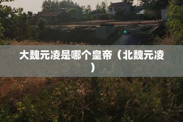 大魏元凌是哪个皇帝（北魏元凌）