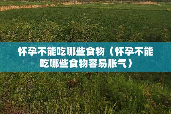 怀孕不能吃哪些食物（怀孕不能吃哪些食物容易胀气）