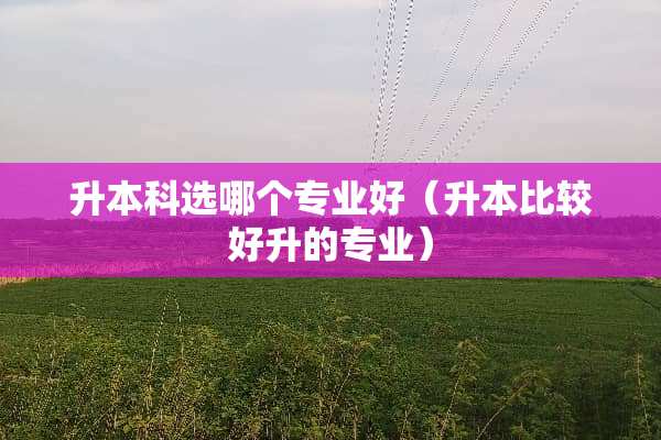 升本科选哪个专业好（升本比较好升的专业）