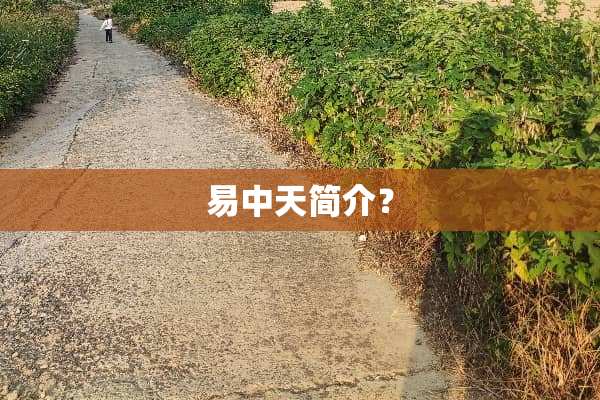 易中天简介？