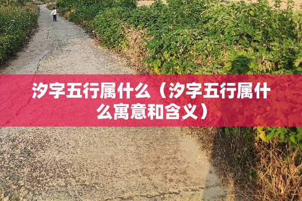 汐字五行属什么（汐字五行属什么寓意和含义）