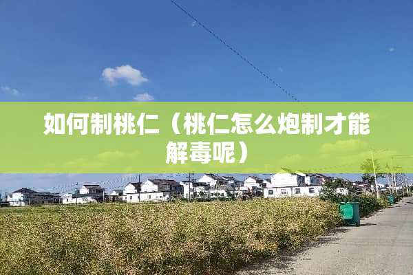如何制桃仁（桃仁怎么*制才能解毒呢）