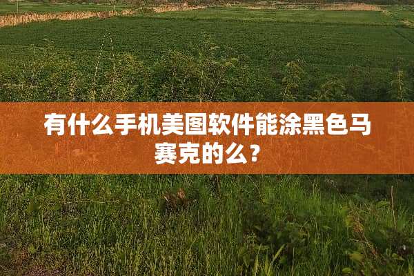 有什么手机美图软件能涂黑色马赛克的么？