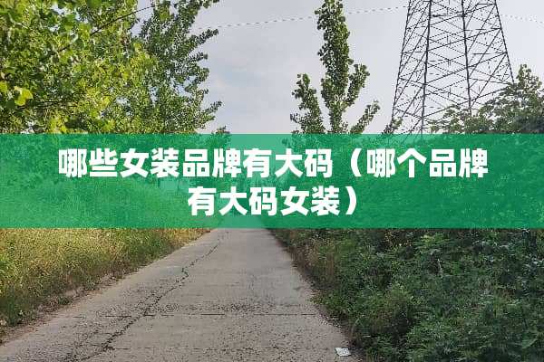 哪些女装品牌有大码（哪个品牌有大码女装）