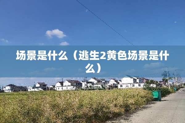 场景是什么（逃生2**场景是什么）