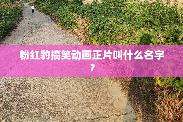粉红豹搞笑动画正片叫什么名字？
