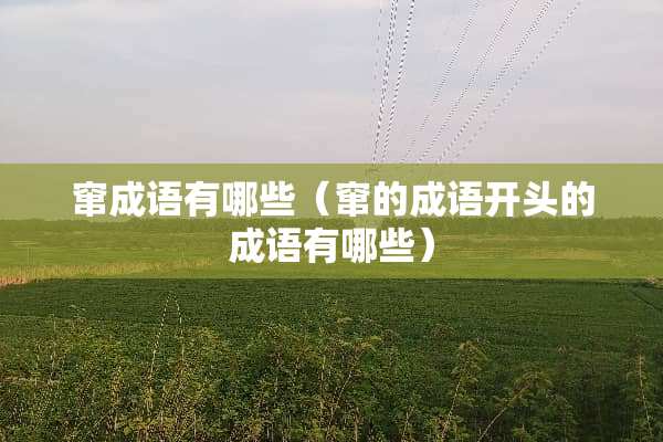 窜成语有哪些（窜的成语开头的成语有哪些）