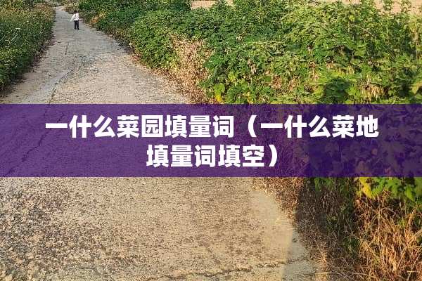 一什么菜园填量词（一什么菜地填量词填空）
