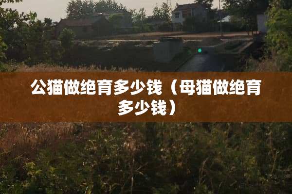 公猫做绝育多少钱（母猫做绝育多少钱）