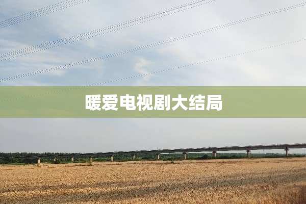 暖爱电视剧大结局