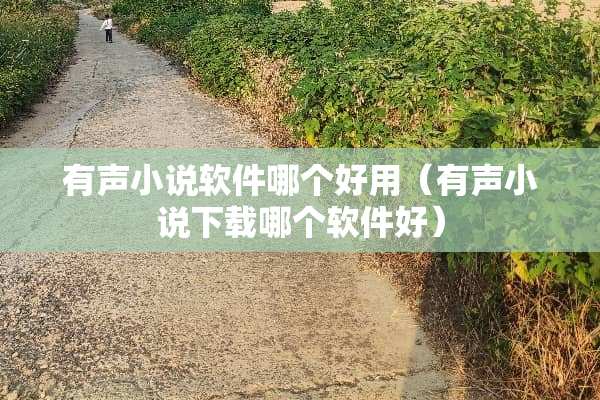 有声小说软件哪个好用（有声小说下载哪个软件好）