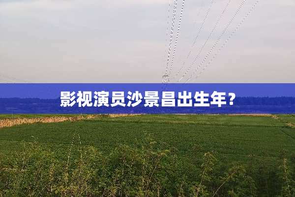 影视演员沙景昌出生年？