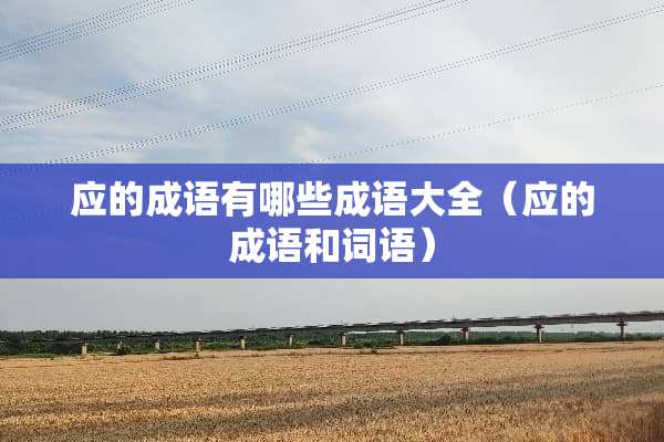 应的成语有哪些成语大全（应的成语和词语）