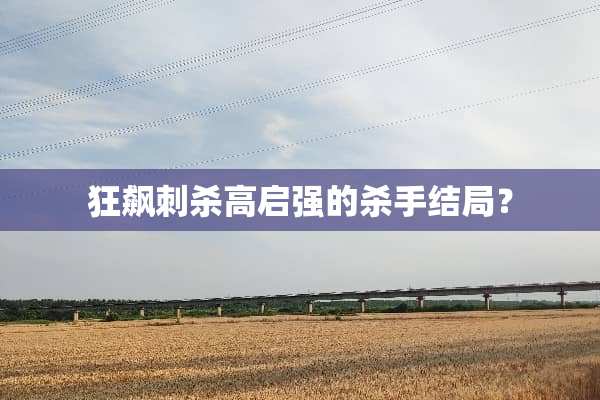 狂飙刺杀高启强的**结局？