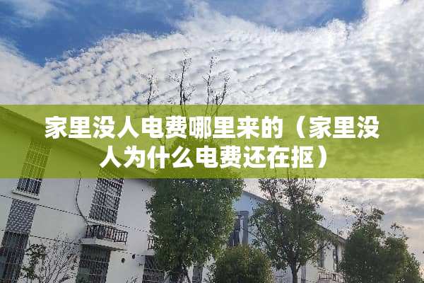 家里没人电费哪里来的（家里没人为什么电费还在抠）