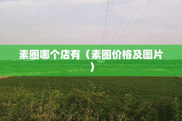 素圈哪个店有（素圈价格及图片）