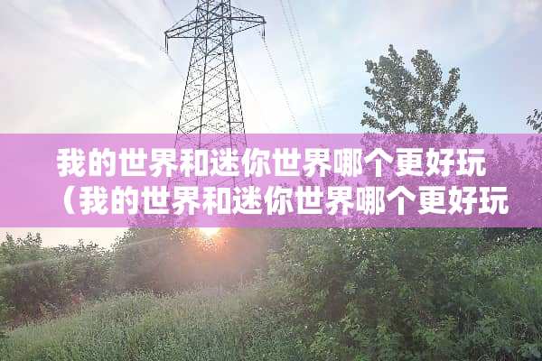 我的世界和迷你世界哪个更好玩（我的世界和迷你世界哪个更好玩些）