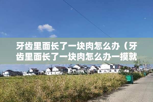 牙齿里面长了一块肉怎么办（牙齿里面长了一块肉怎么办一摸就出血）