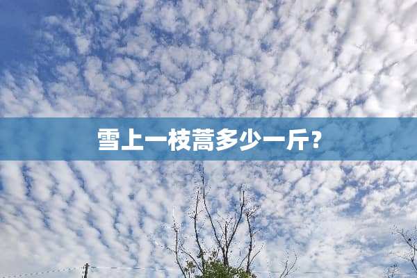 雪上一枝蒿多少一斤？