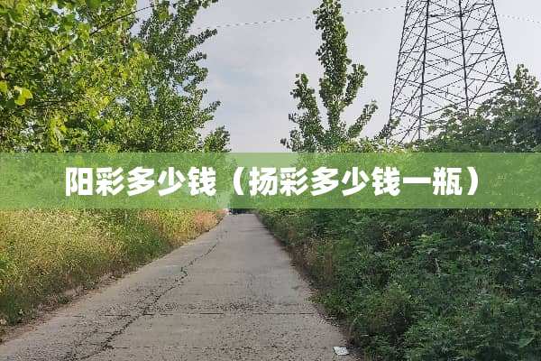 阳彩多少钱（扬彩多少钱一瓶）