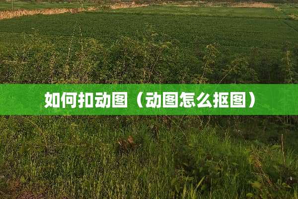 如何扣动图（动图怎么抠图）