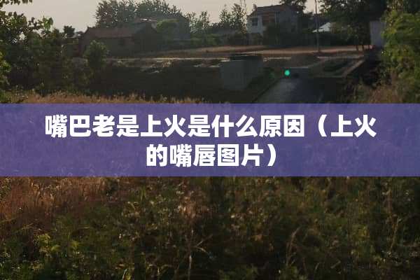 嘴巴老是上火是什么原因（上火的嘴唇图片）