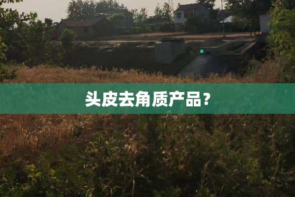 头皮去角质产品？