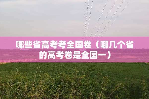 哪些省高考考全国卷（哪几个省的高考卷是全国一）