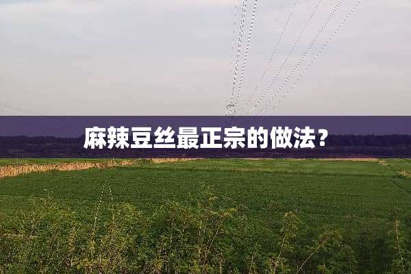 麻辣豆丝最正宗的做法？