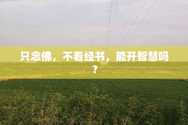 只念佛，不看经书，能开智慧吗？
