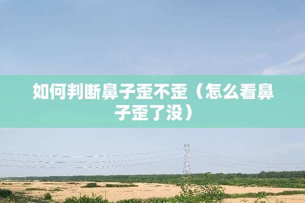 如何判断鼻子歪不歪（怎么看鼻子歪了没）