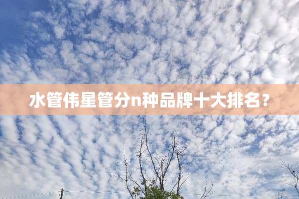 水管伟星管分n种品牌十大排名？