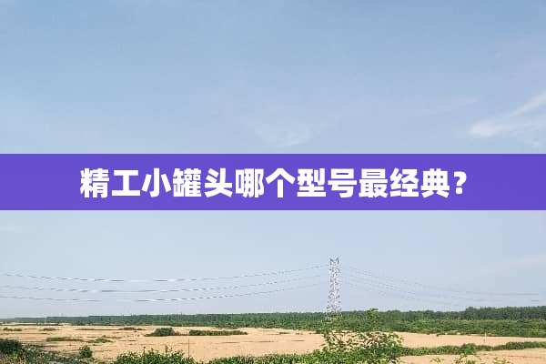 精工小罐头哪个型号最经典？
