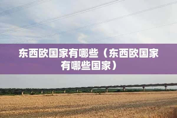 东西欧国家有哪些（东西欧国家有哪些国家）