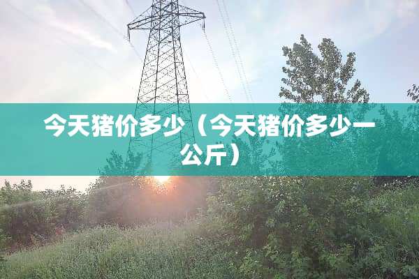 今天猪价多少（今天猪价多少一公斤）