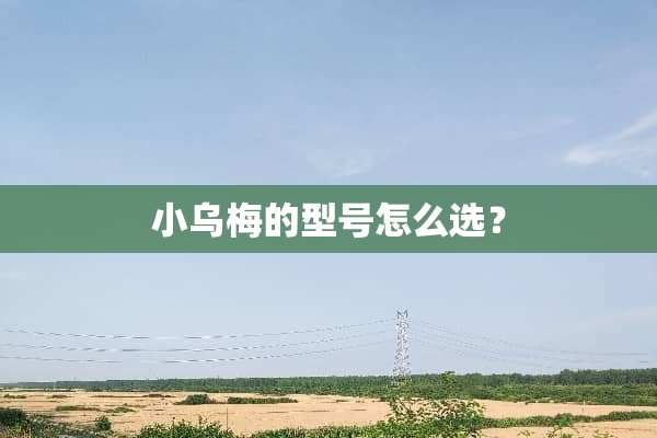 小乌梅的型号怎么选？