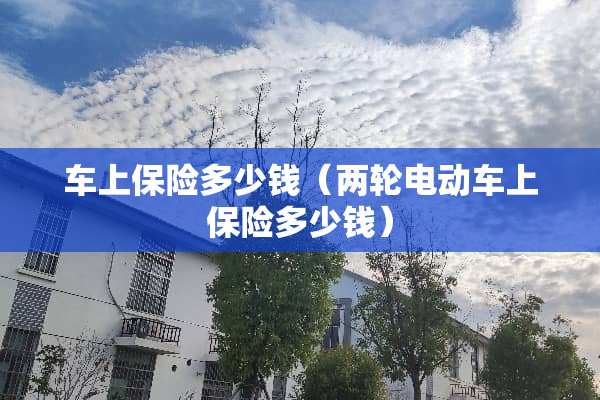 车上保险多少钱（两轮电动车上保险多少钱）