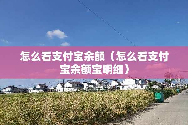 怎么看支付宝余额（怎么看支付宝余额宝明细）