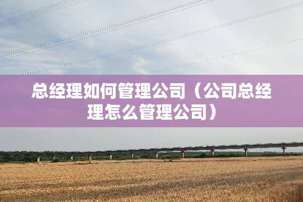 总经理如何管理公司（公司总经理怎么管理公司）