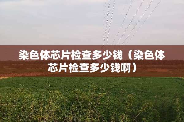 染色体芯片检查多少钱（染色体芯片检查多少钱啊）