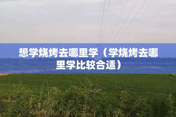 想学烧烤去哪里学（学烧烤去哪里学比较合适）