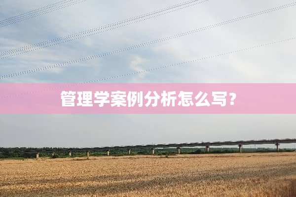 管理学案例分析怎么写？