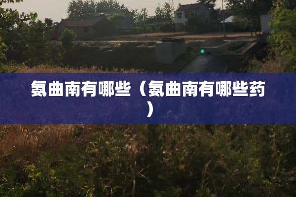 氨曲南有哪些（氨曲南有哪些药）