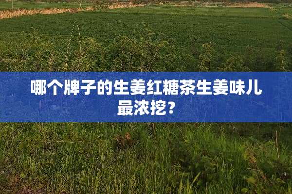 哪个牌子的生姜红糖茶生姜味儿最浓挖？