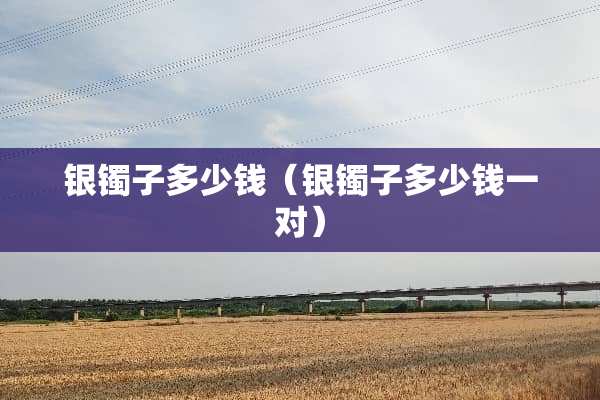 银镯子多少钱（银镯子多少钱一对）