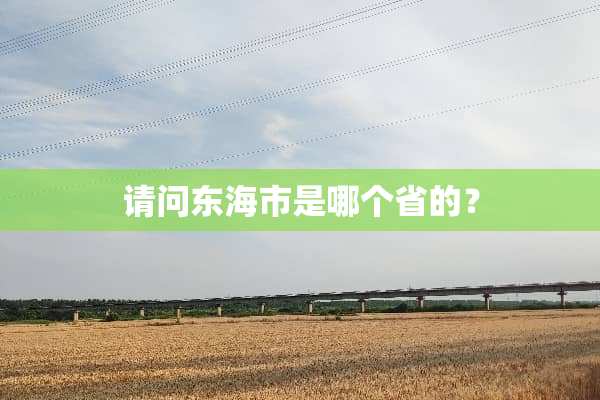请问东海市是哪个省的？