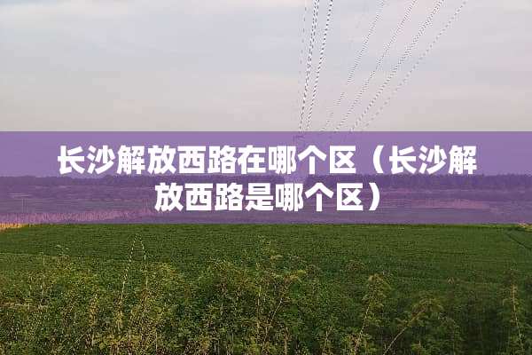 长沙解放西路在哪个区（长沙解放西路是哪个区）